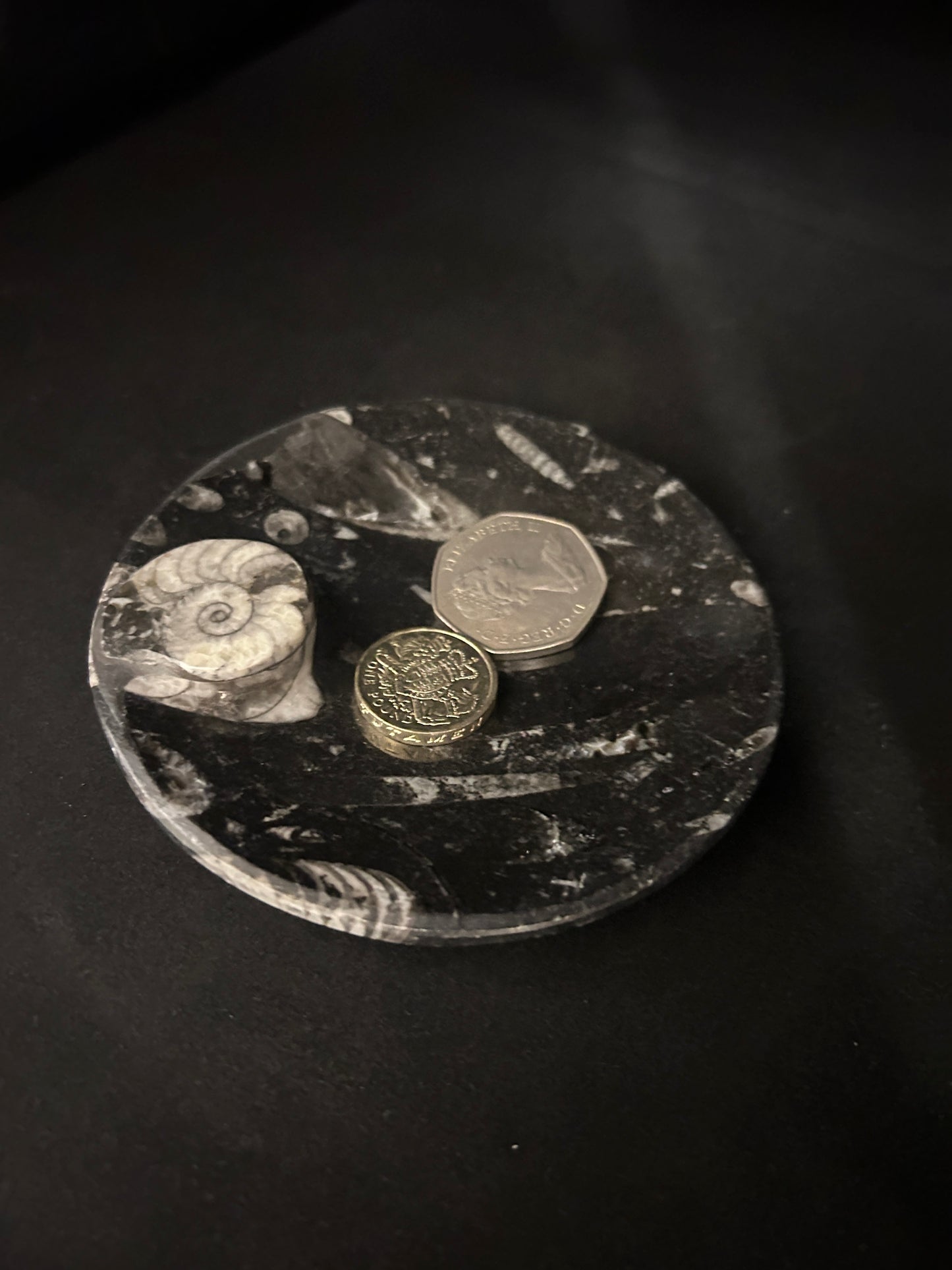 Fossil Orthoceras and Ammonite Dish