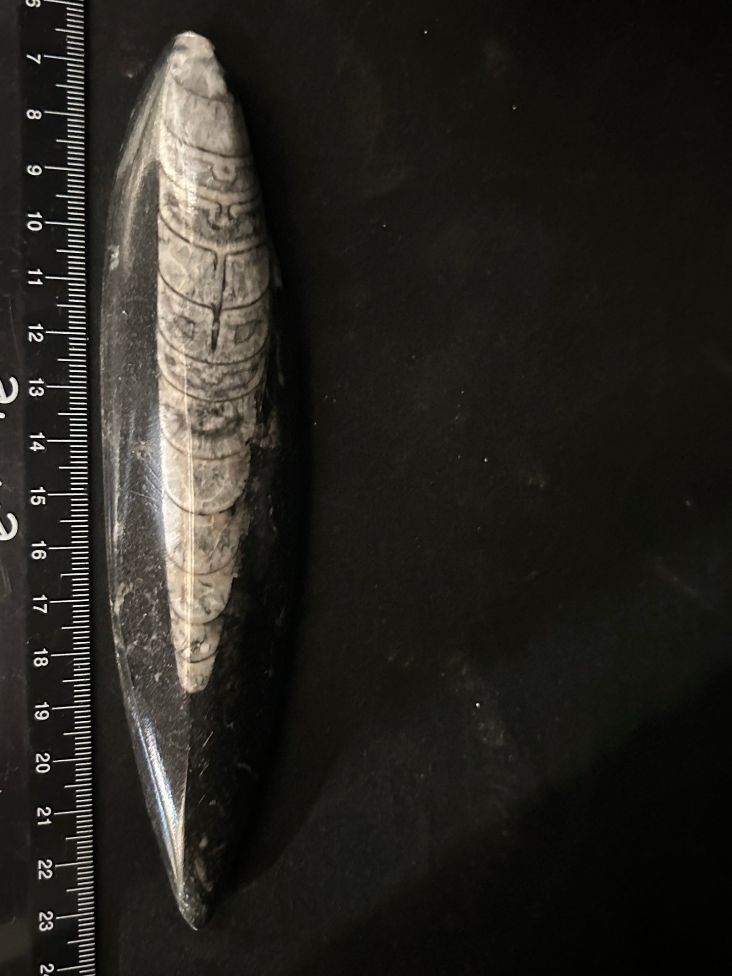 Orthoceras Points