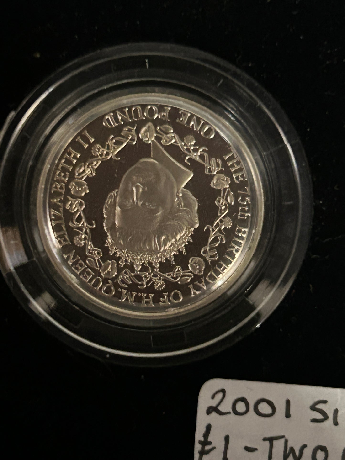 2001 Silver Proof £1 Two Coin Set