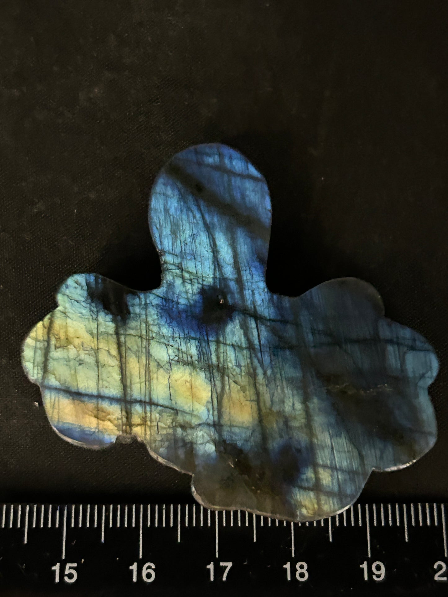 Labradorite Octypus